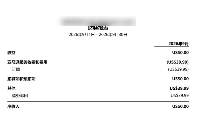 亚马逊下载的财务报表PDF样张，包含收益、亚马逊服务收费和费用、扣减项和预留项、其他、净收入